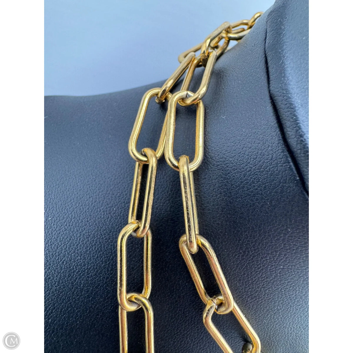 Necklace Chain By Clothes Mentor