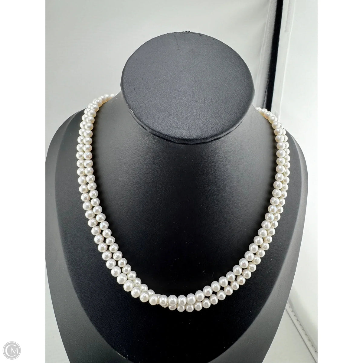 Necklace Layered By Clothes Mentor