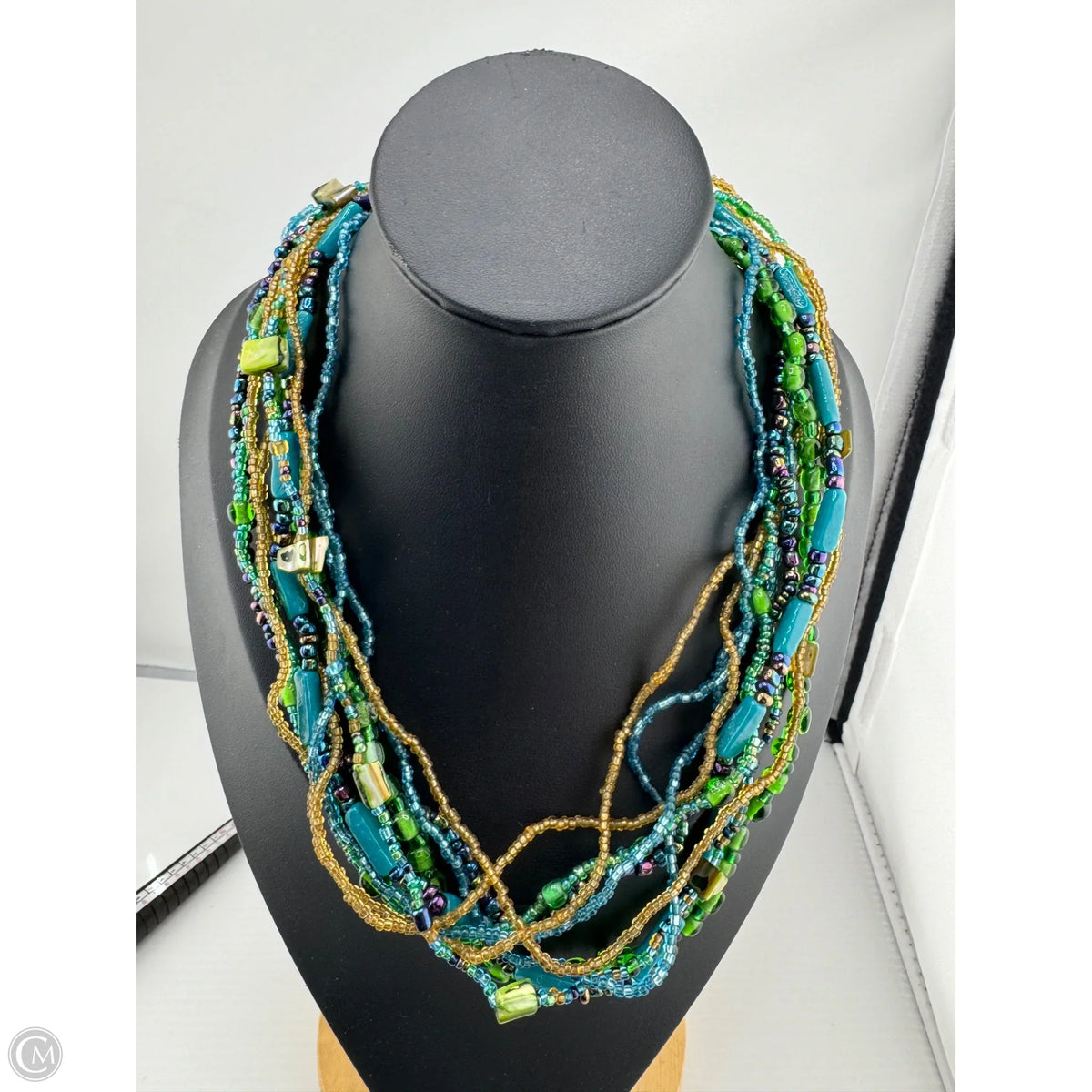 Necklace Layered By Clothes Mentor