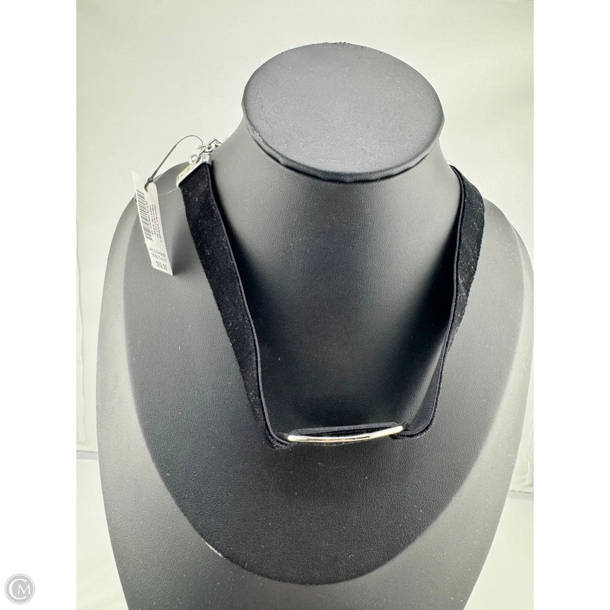 Necklace Choker & Collar By Chicos