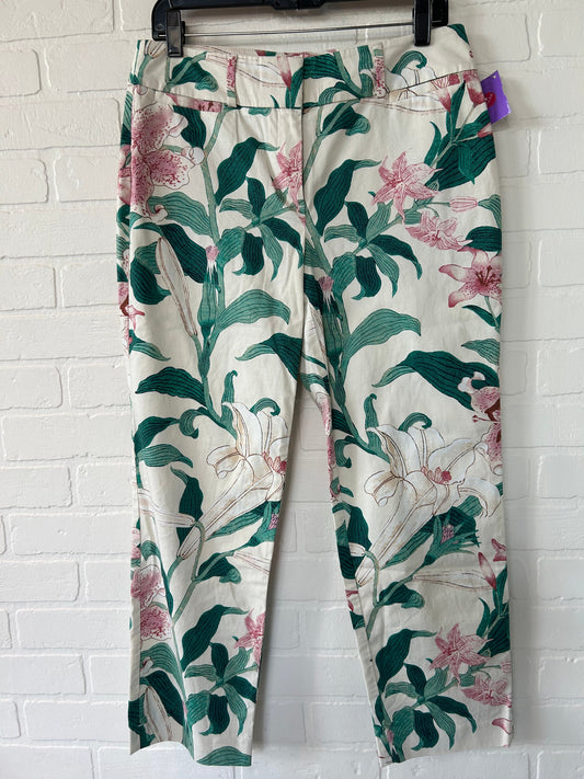 Pants Other By Ann Taylor  Size: 6