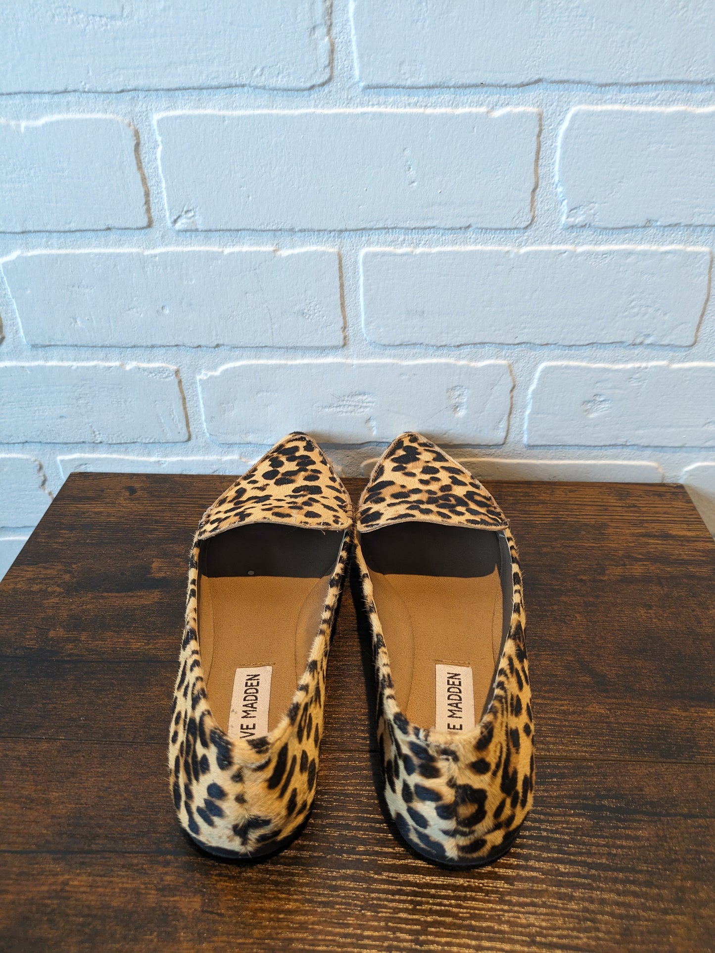 Animal Print Shoes Flats Steve Madden, Size 6.5