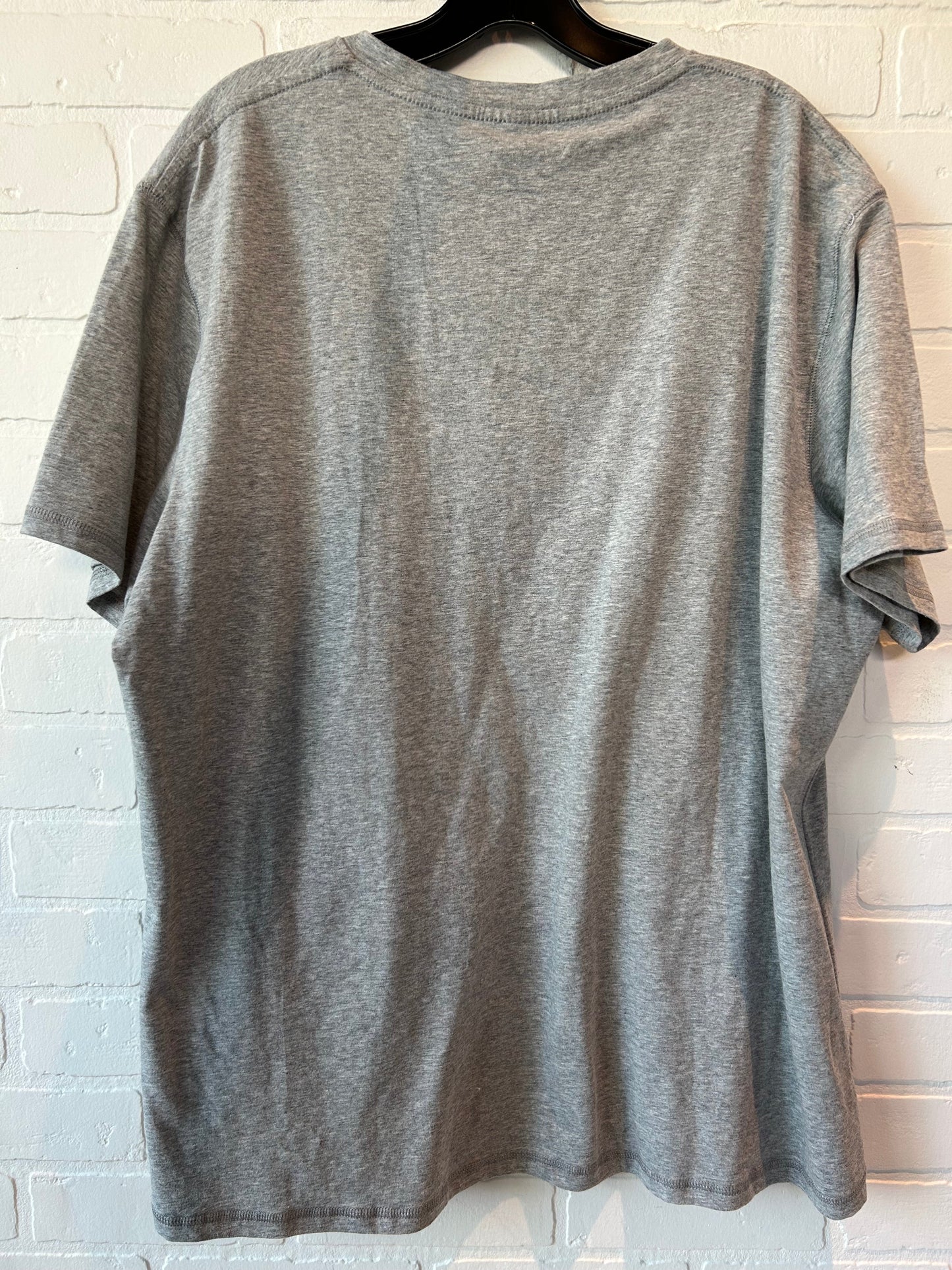 Grey Top Short Sleeve Basic Nitagut, Size 2x