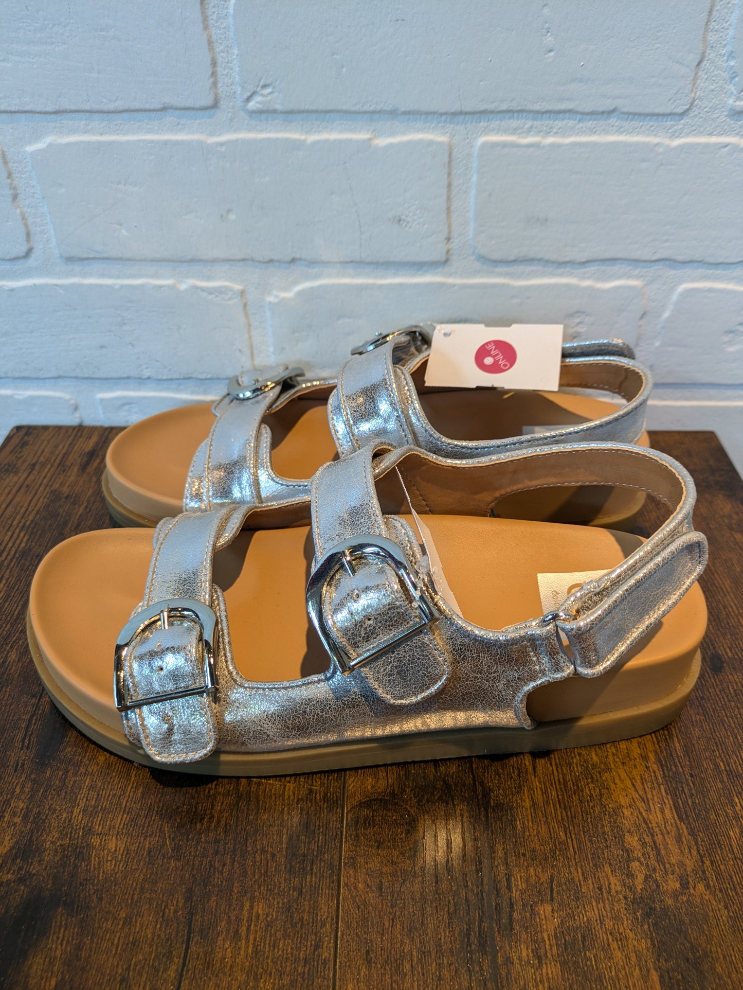 Silver & Tan Sandals Flats Dolce Vita, Size 7.5