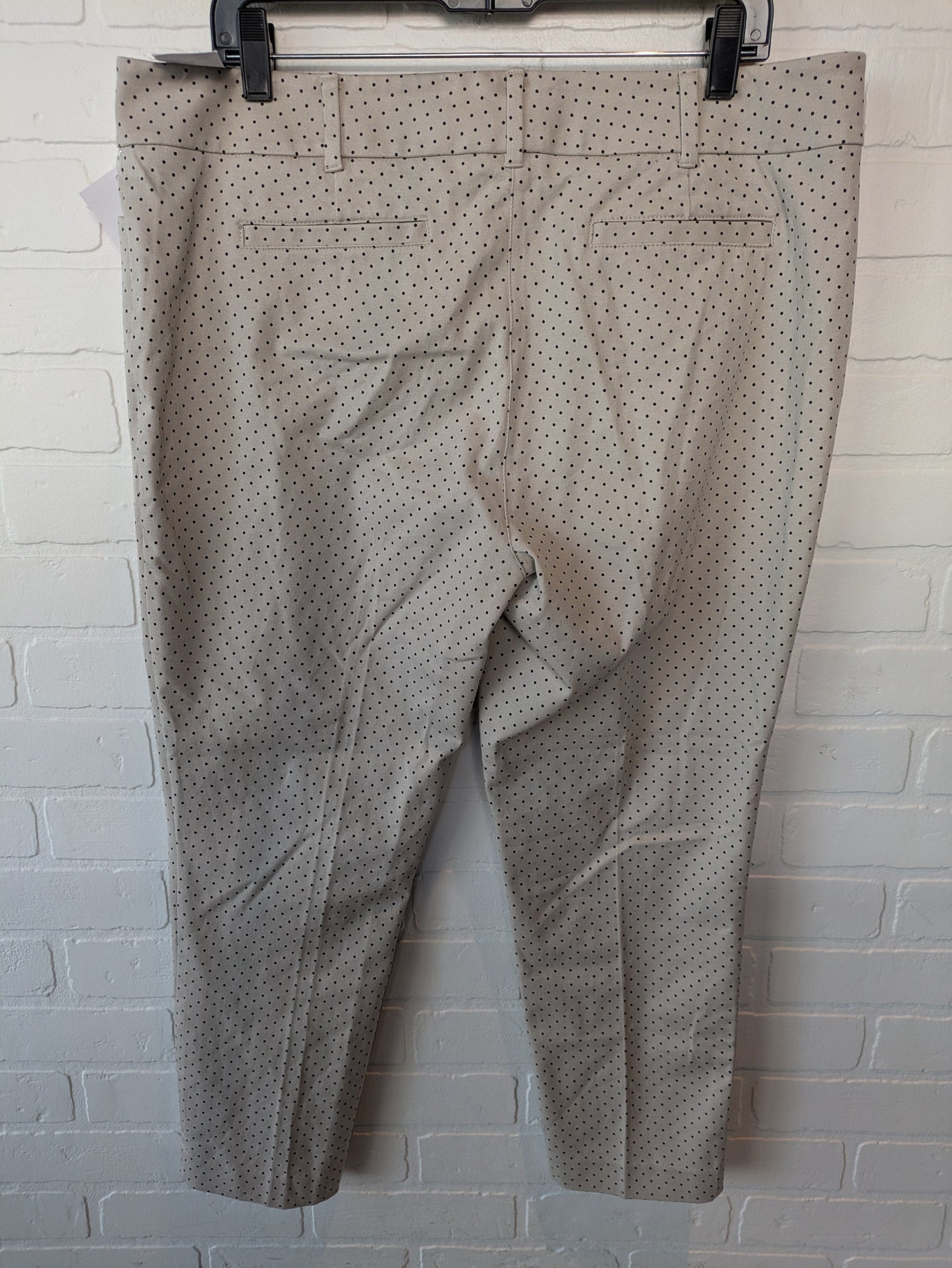 Pants Other By New York And Co In Brown, Size: 16petite