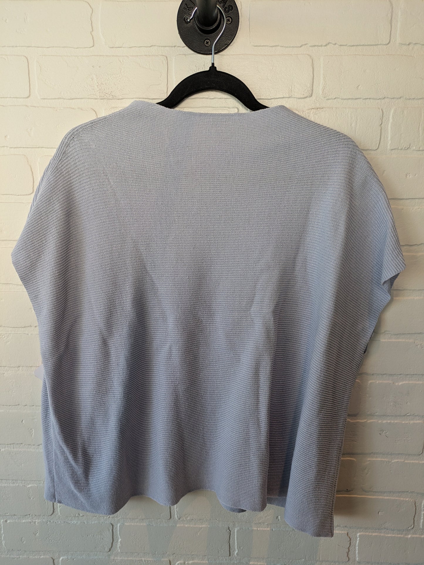 Sweater Short Sleeve By Eileen Fisher In Blue, Size: S