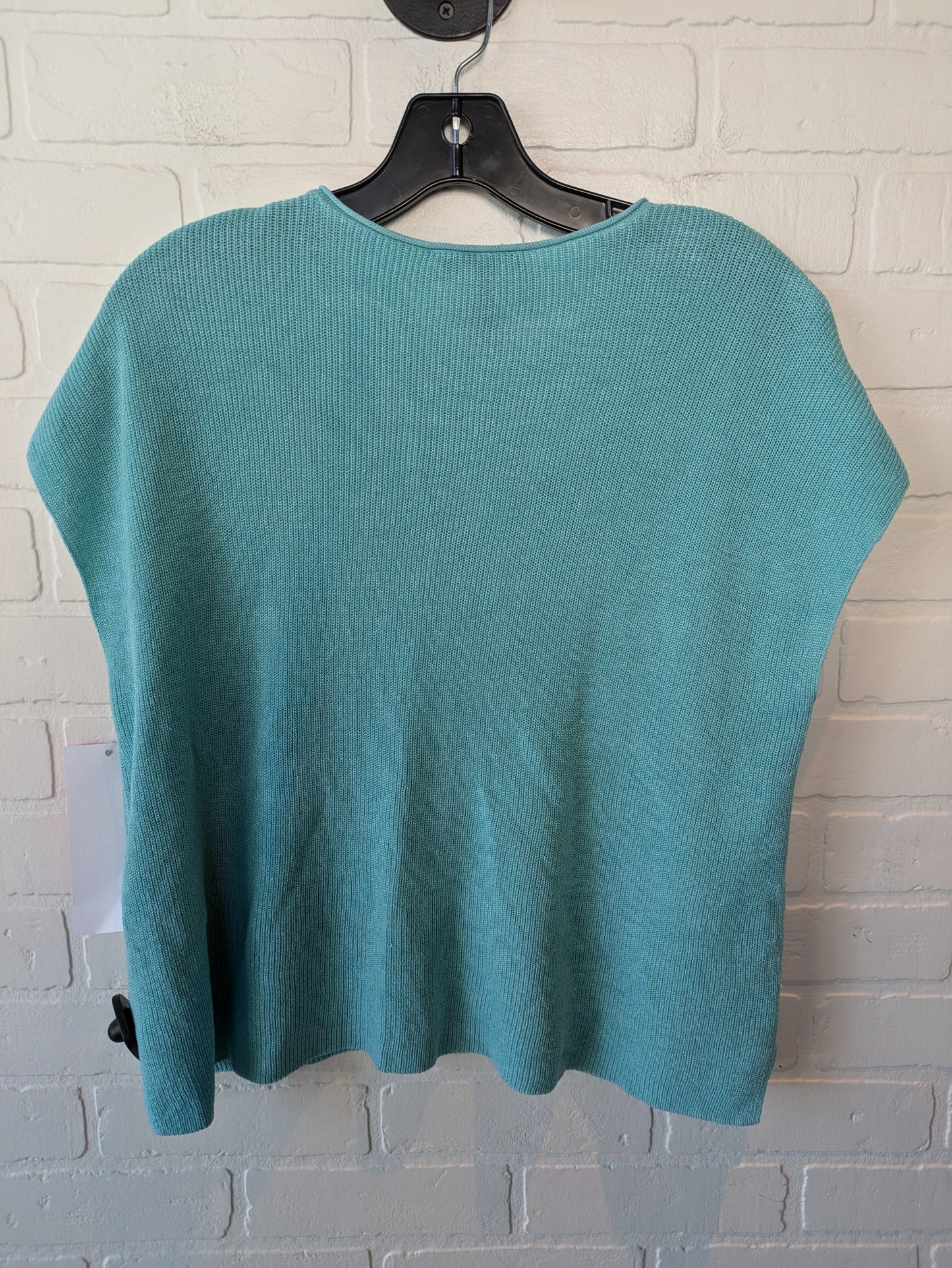 Sweater Short Sleeve By Eileen Fisher In Blue, Size: S