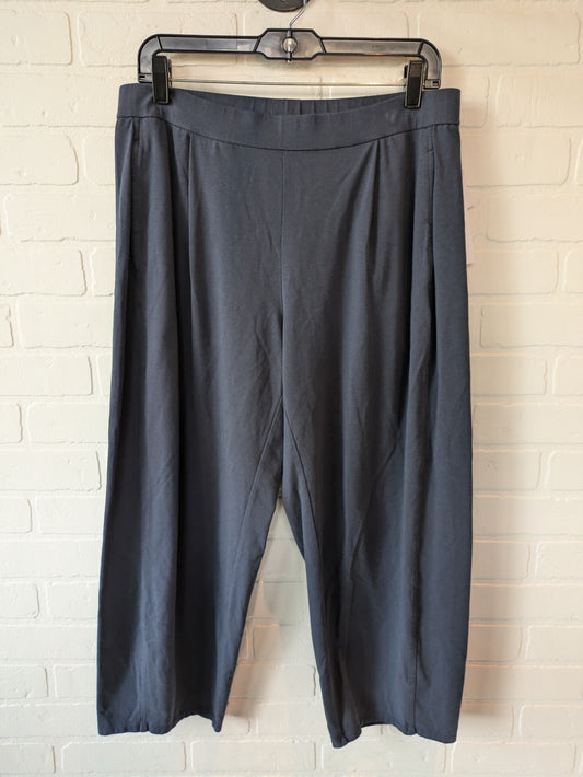 Pants Other By Eileen Fisher In Blue, Size: 8