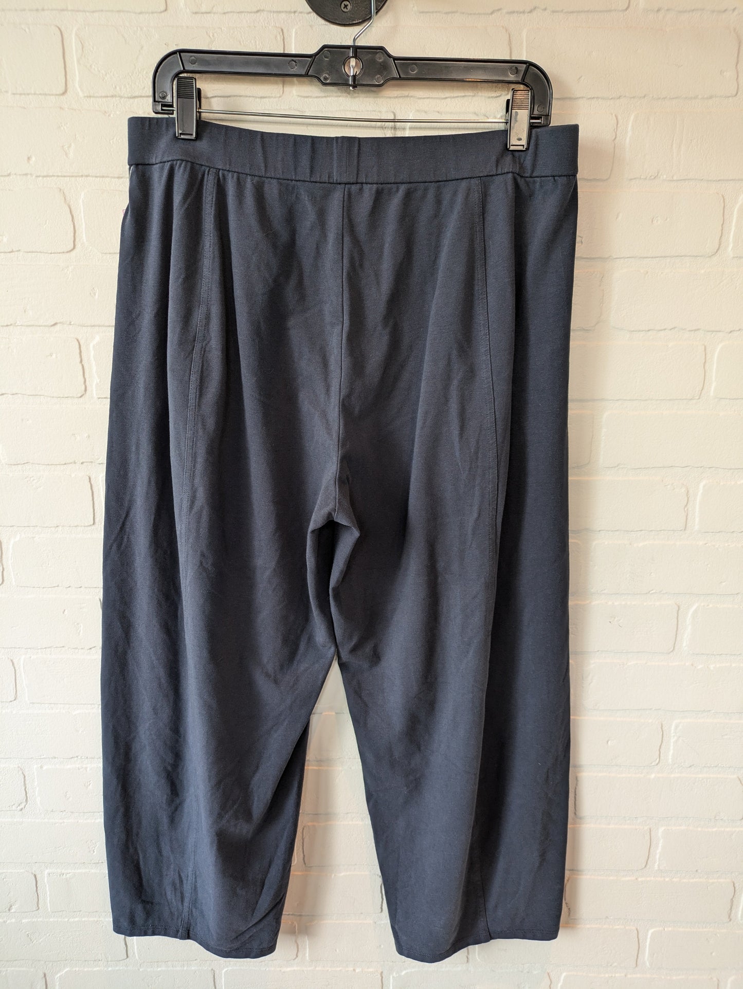 Pants Other By Eileen Fisher In Blue, Size: 8