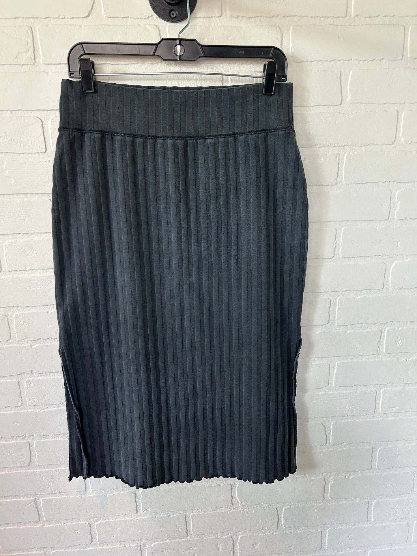 Skirt Midi By Aerie In Black, Size: 8