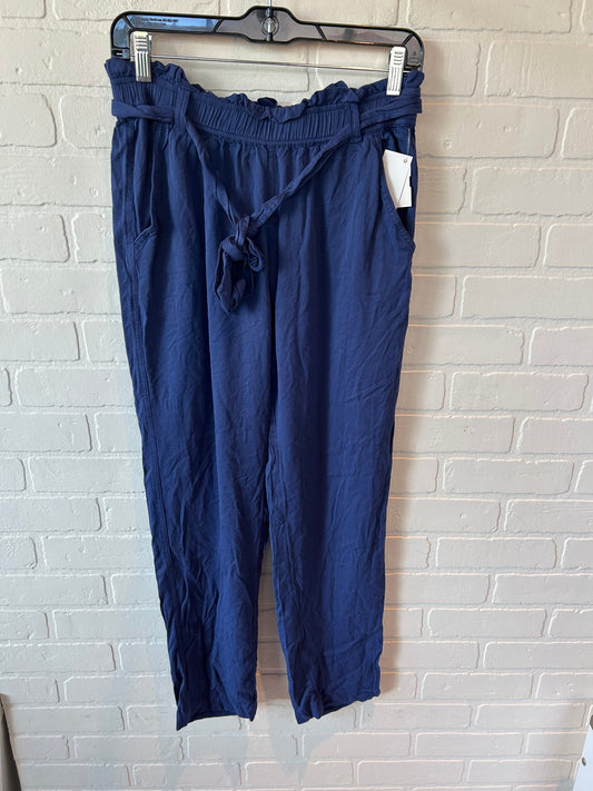 Pants Other By Aerie In Blue, Size: 4