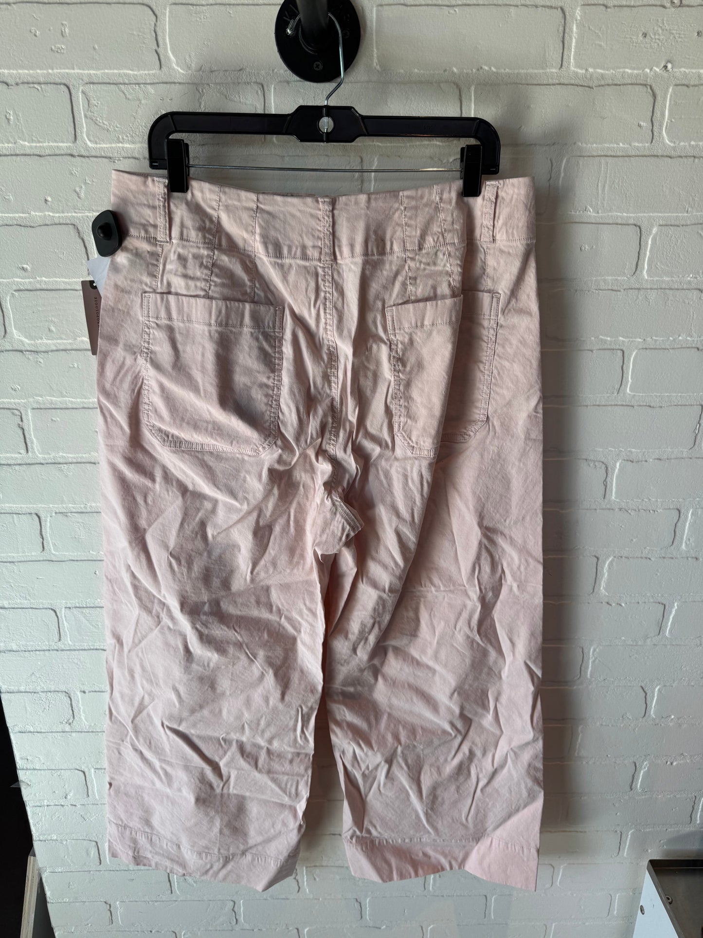 Pants Other By Maeve In Pink, Size: 16