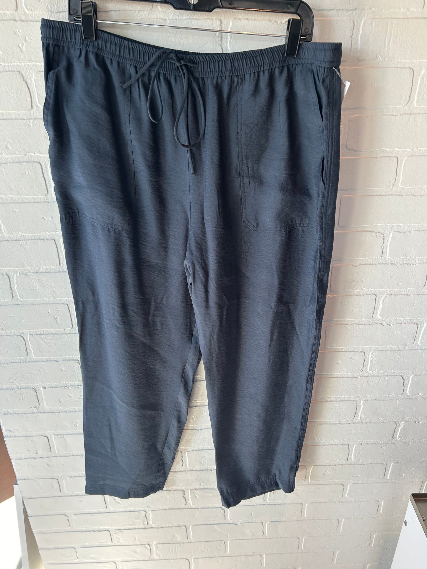 Pants Joggers By Zara In Blue, Size: 14