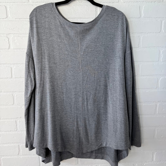 Athletic Top Long Sleeve Crewneck By Lucy In Grey, Size: L