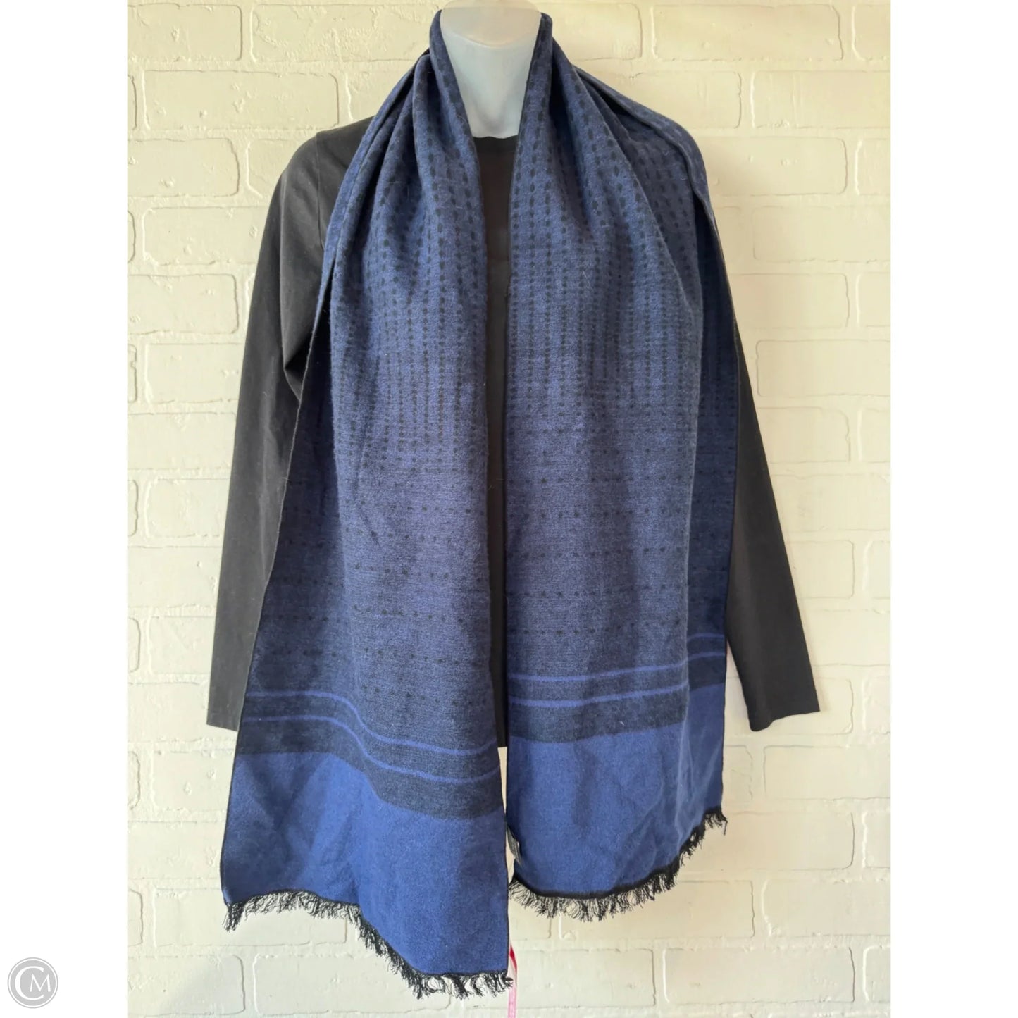 Scarf Winter By Van Heusen In Black & Blue