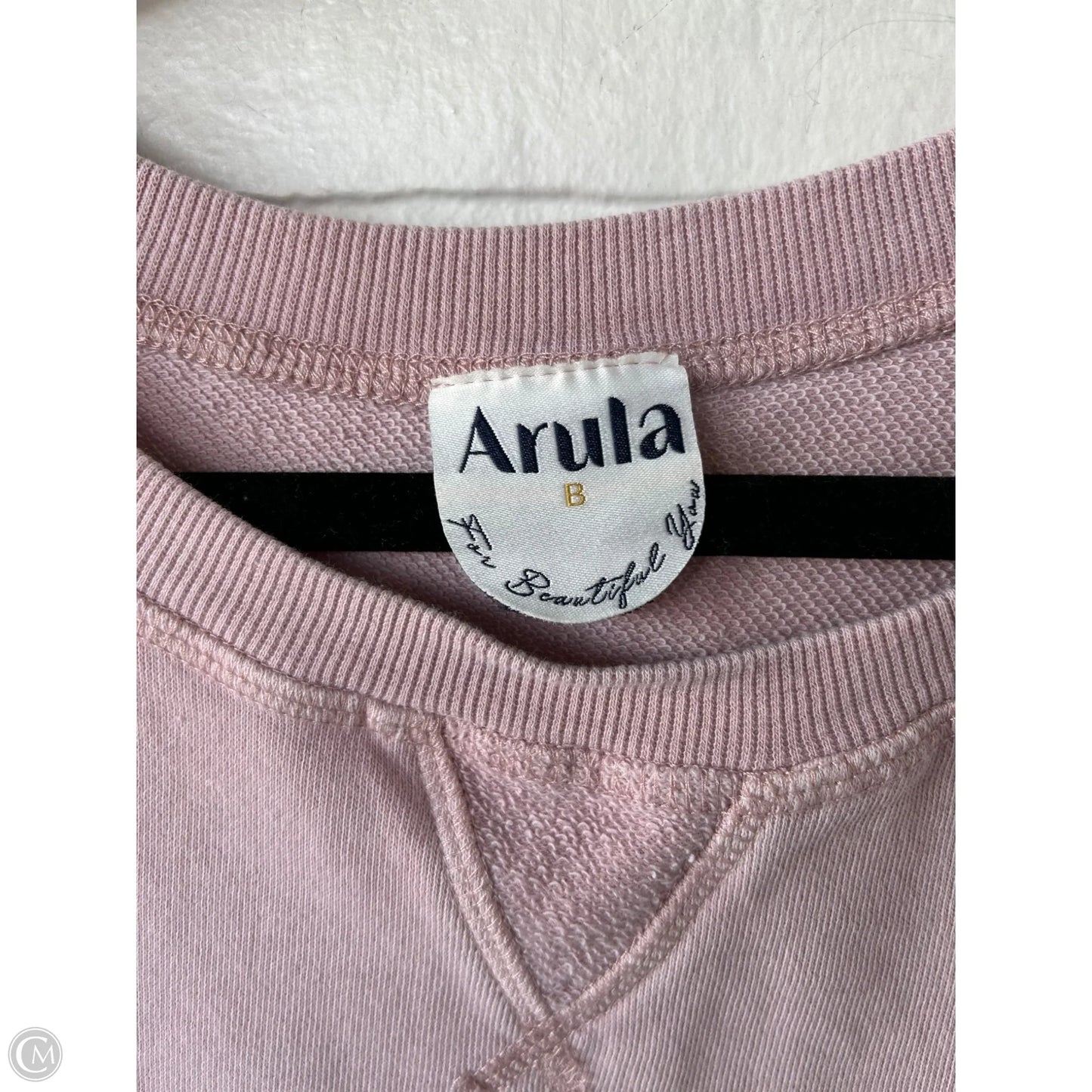 Sweatshirt Crewneck By arula In Pink, Size: 2x