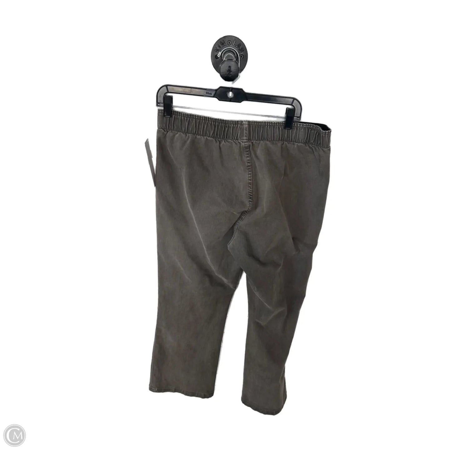 Pants Other By Soft Surroundings In Brown, Size: 16
