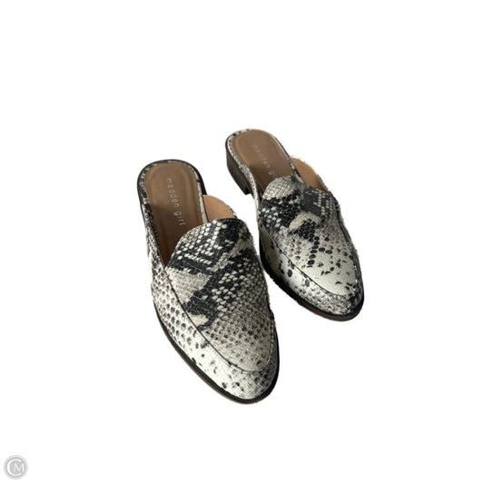 Shoes Flats By Madden Girl In Snakeskin Print, Size: 6