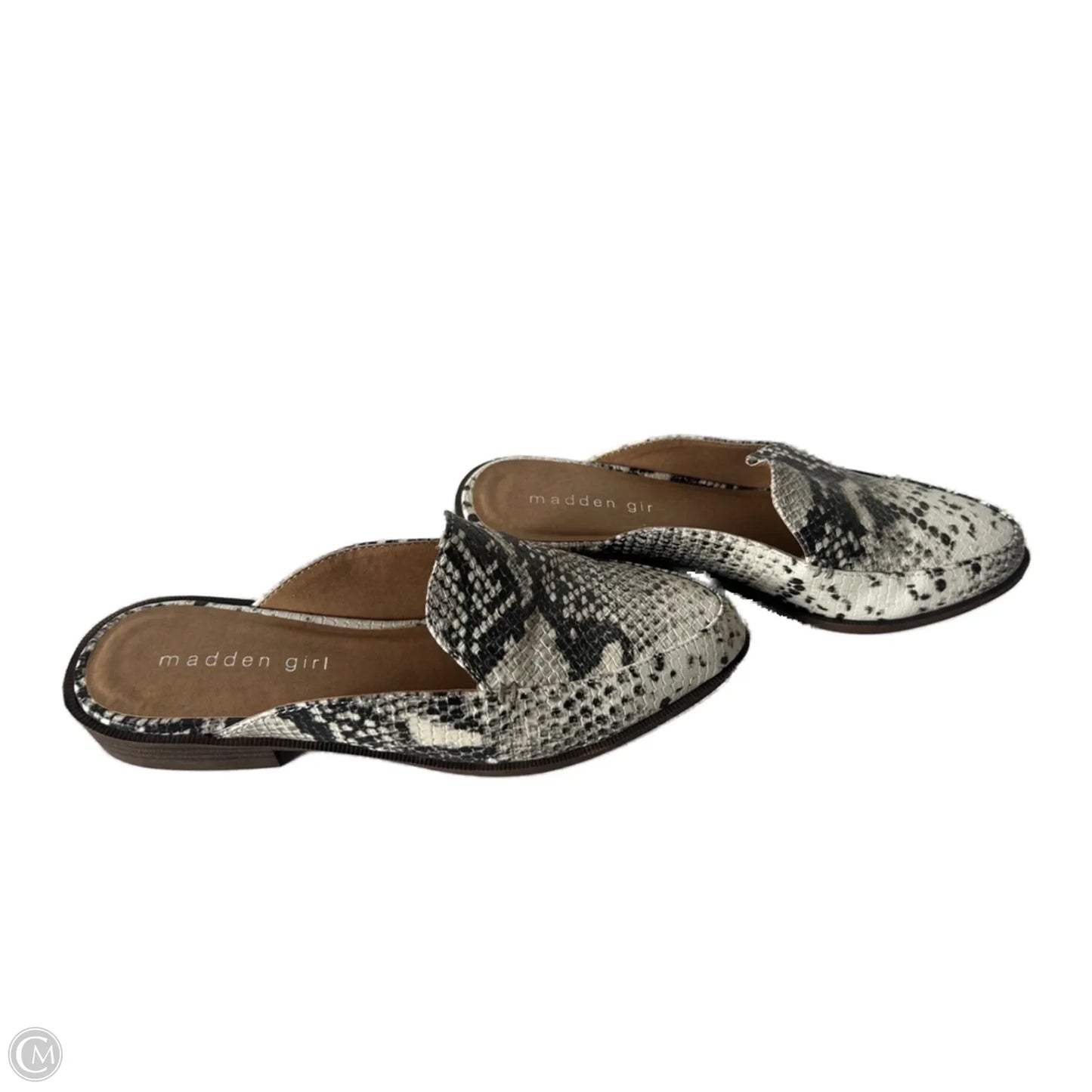 Shoes Flats By Madden Girl In Snakeskin Print, Size: 6