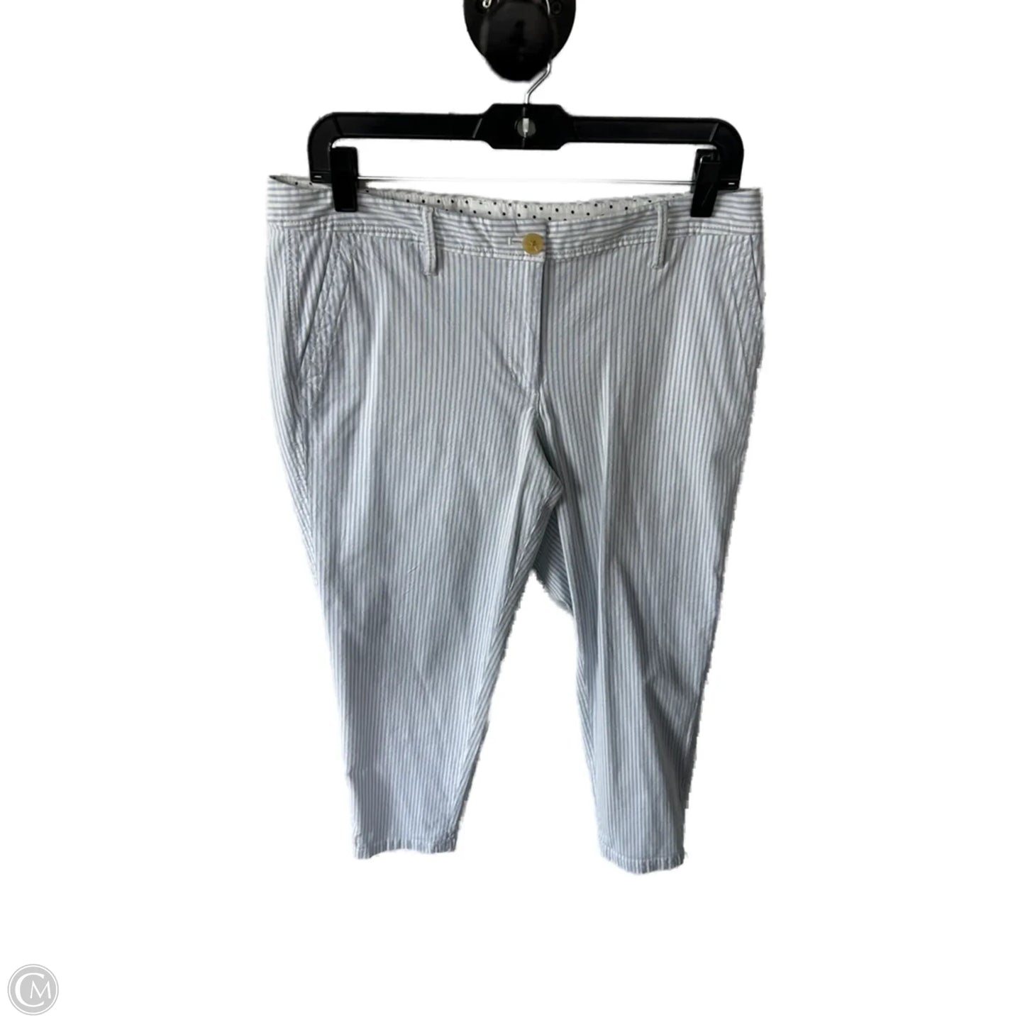 Pants Chinos & Khakis By Talbots In Blue & White, Size: 8p