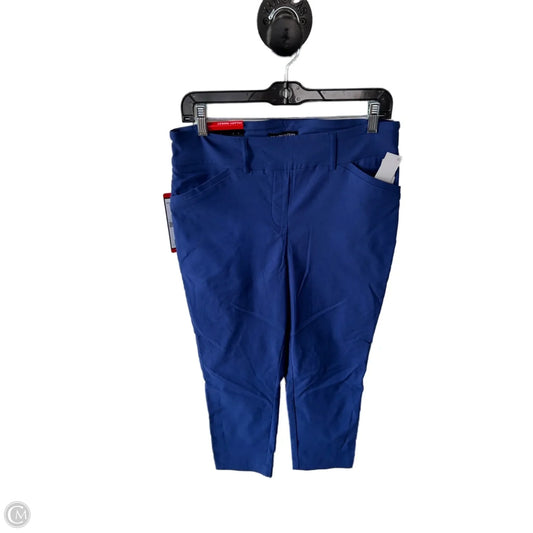 Pants Other By Hilary Radley In Blue, Size: 10