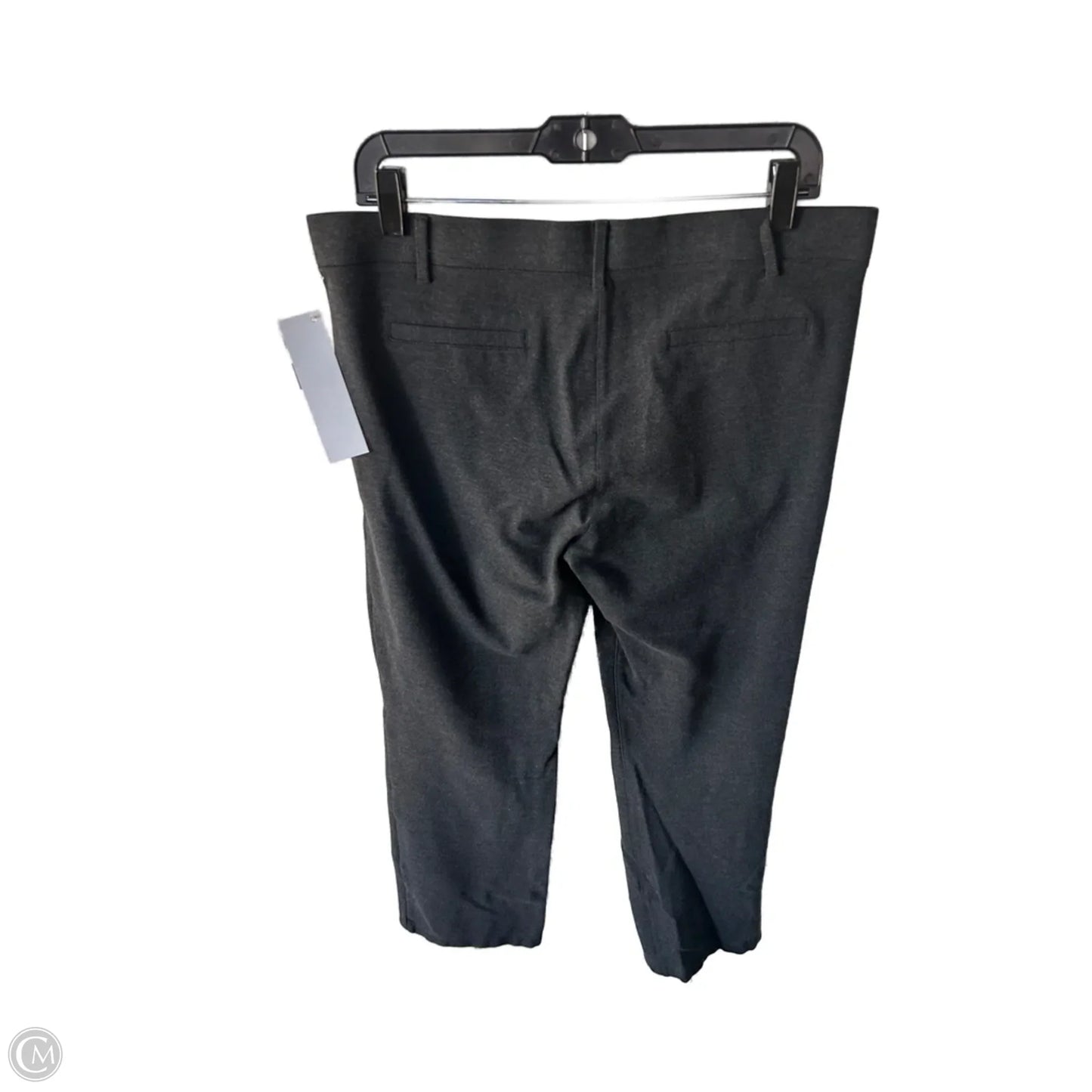 Pants Other By Betabrand In Grey, Size: 16