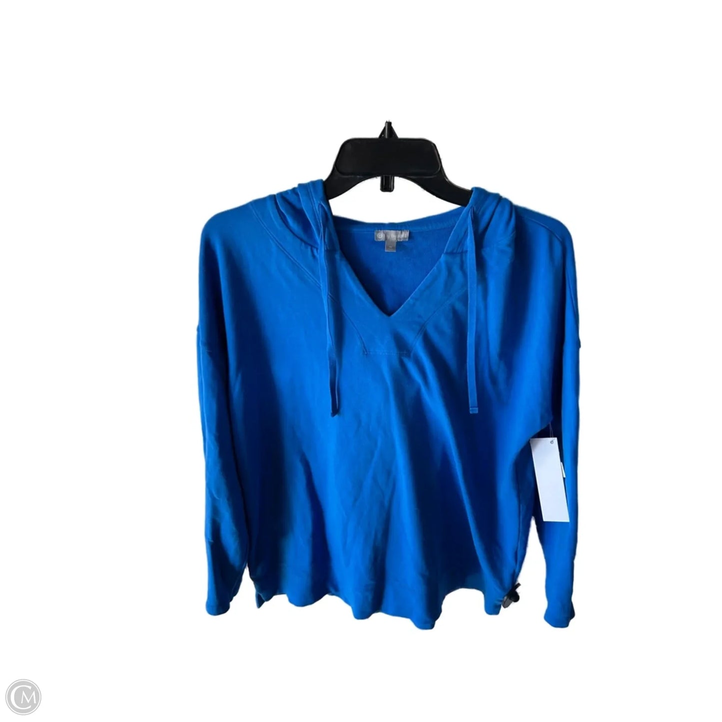 Sweatshirt Hoodie By Talbots In Blue, Size: M