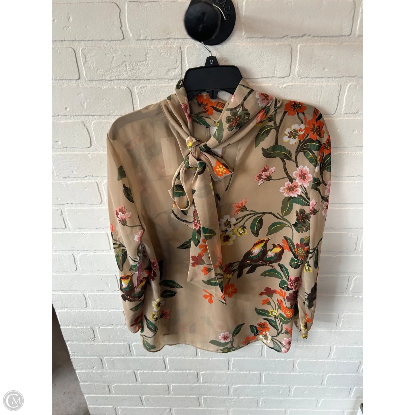 Top Long Sleeve By New York And Co In Green & Tan, Size: M