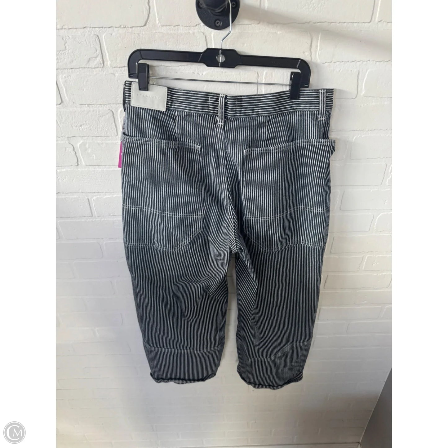 Jeans Wide Leg By Everlane In Blue & White, Size: 12