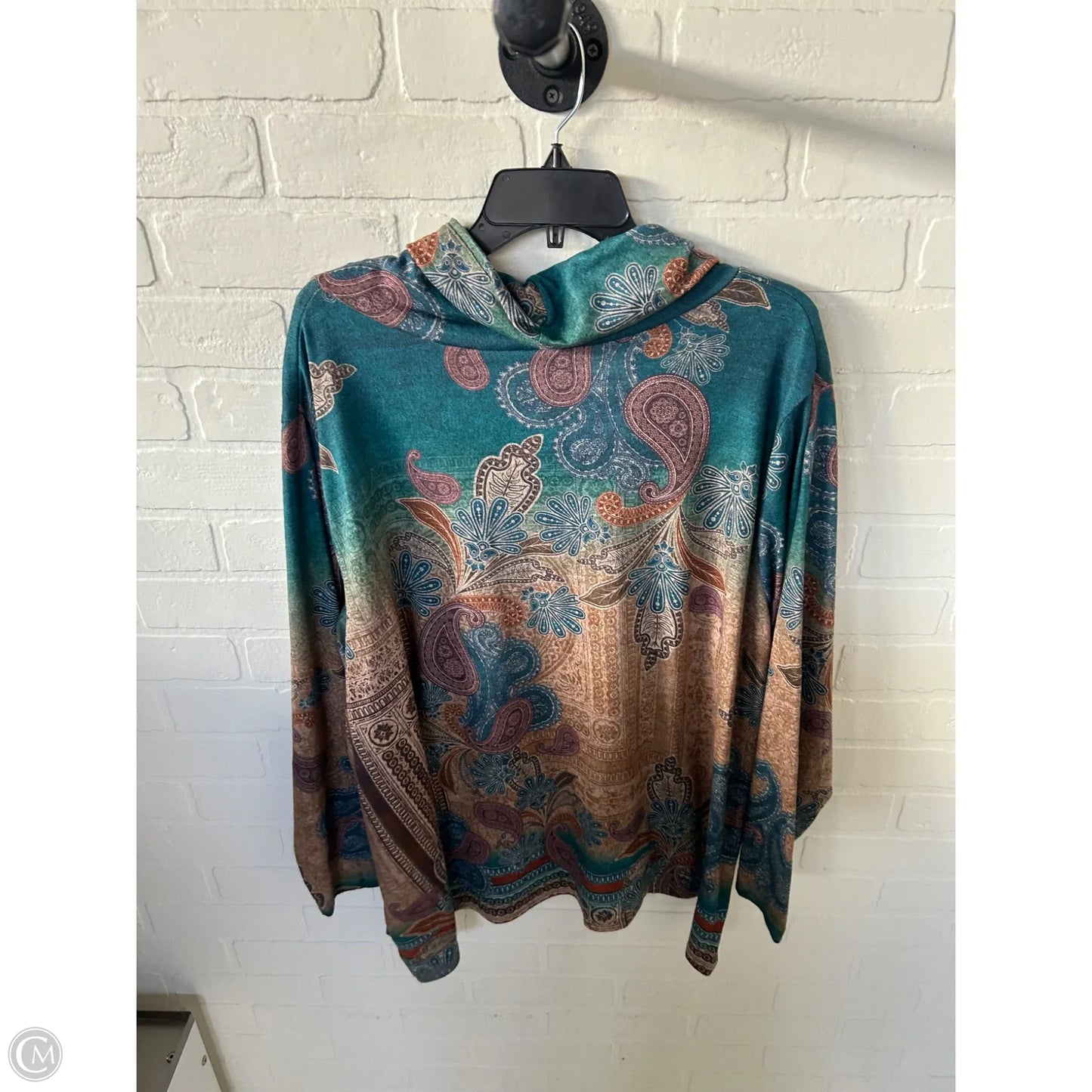 Top Long Sleeve By Leo And Nicole In Blue & Brown, Size: 3x