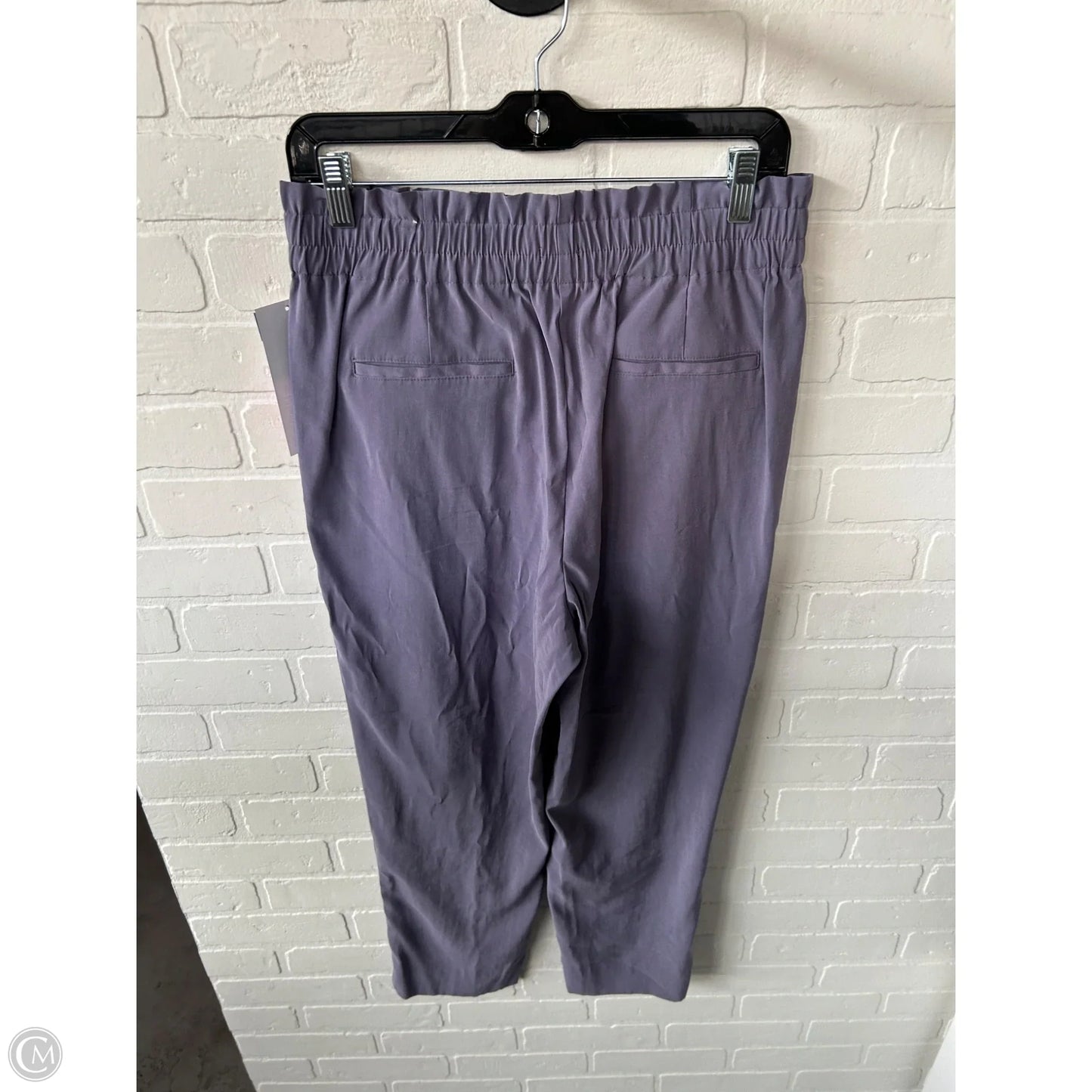 Pants Other By Ann Taylor In Purple, Size: 8
