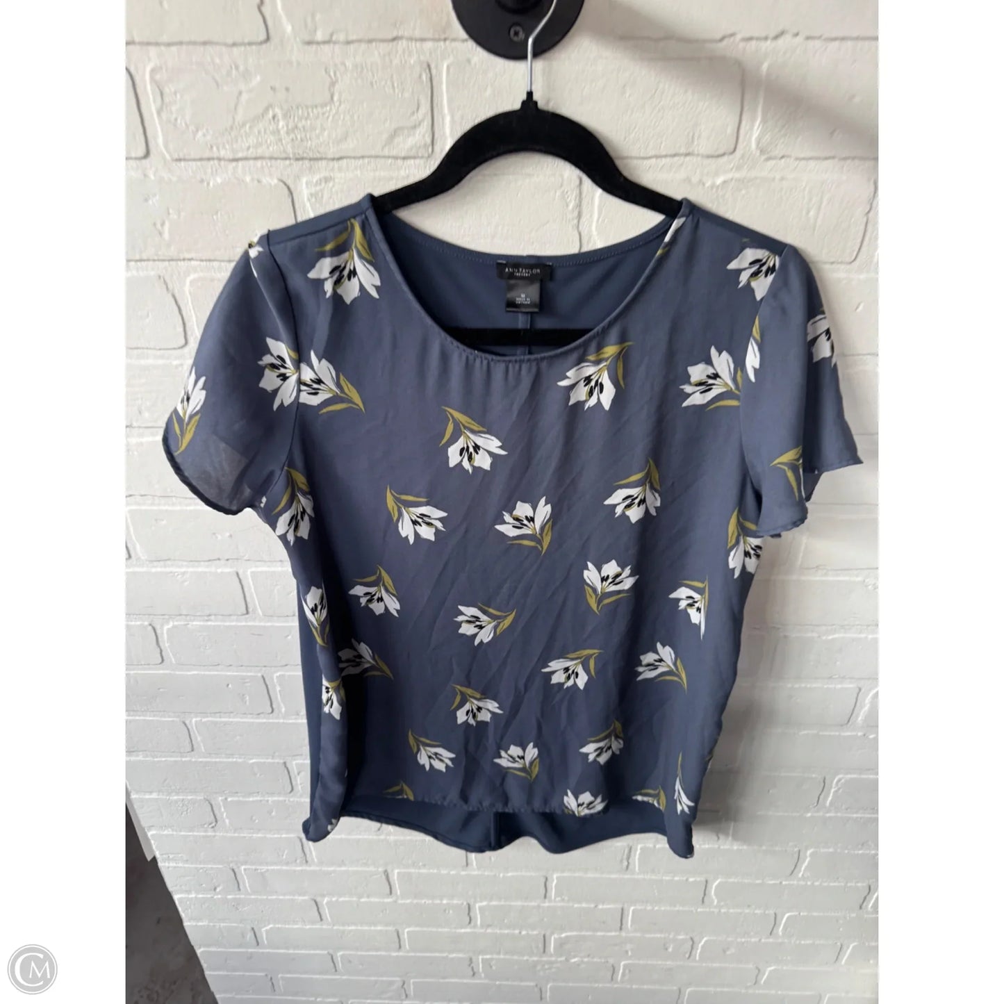 Top Short Sleeve By Ann Taylor In Blue & White, Size: M