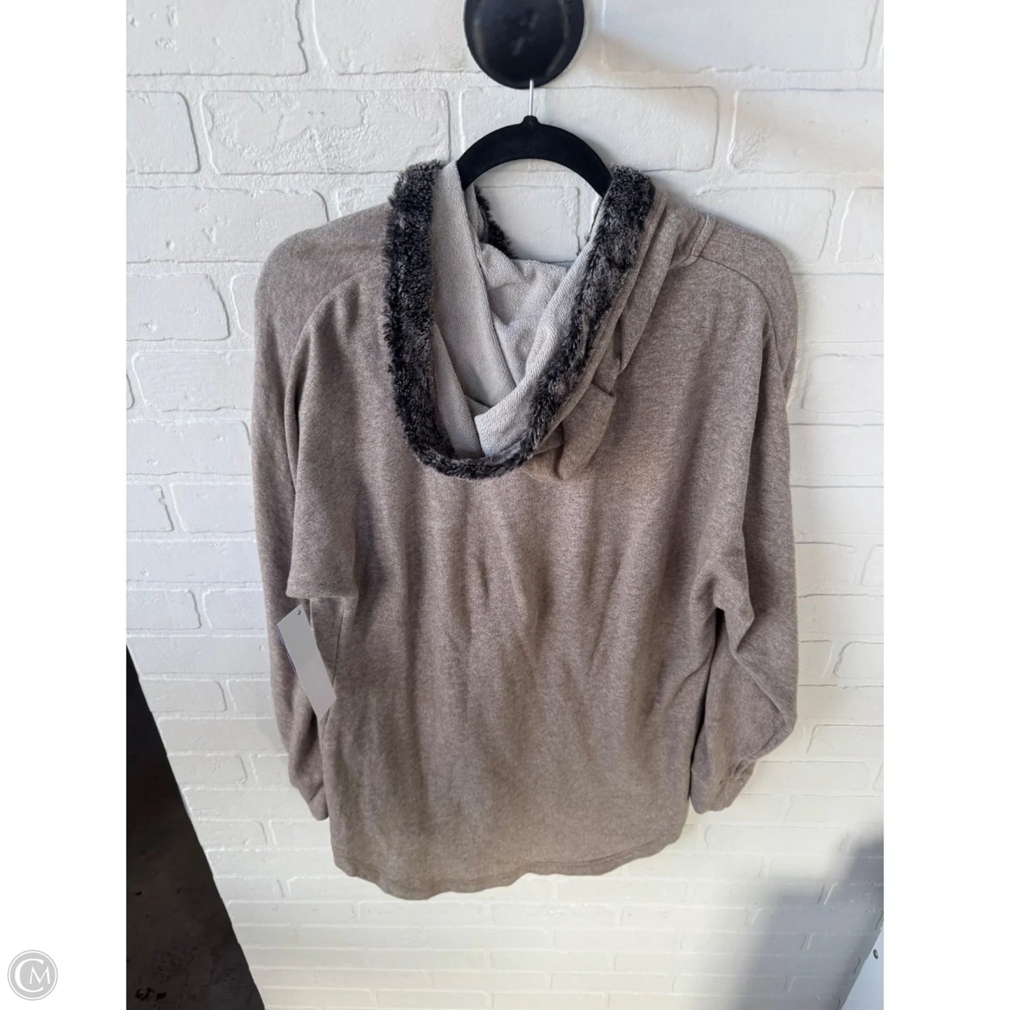 Sweatshirt Hoodie By Soft Surroundings In Tan, Size: M