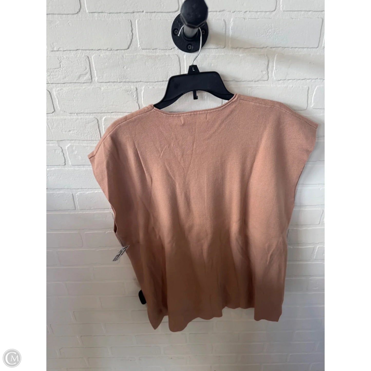 Pants Set 2pc By Anrabess In Tan, Size: Xl