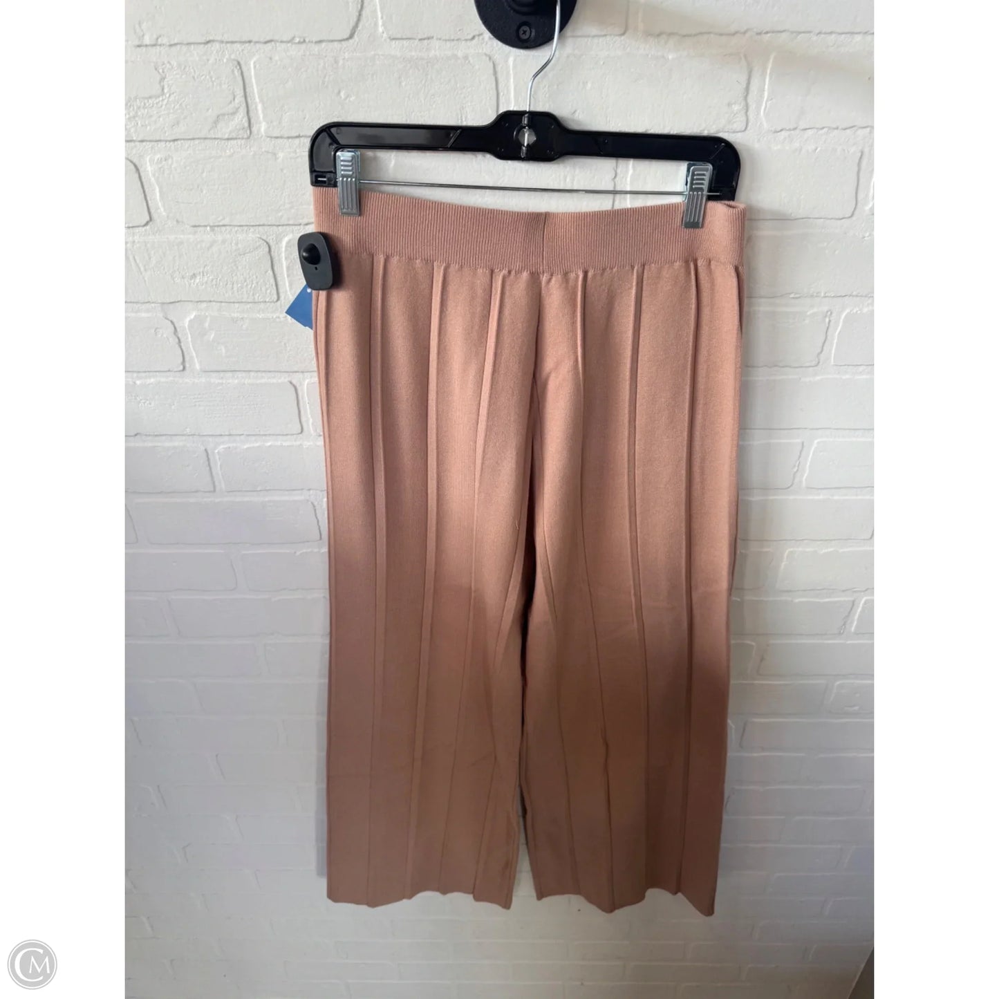 Pants Set 2pc By Anrabess In Tan, Size: Xl