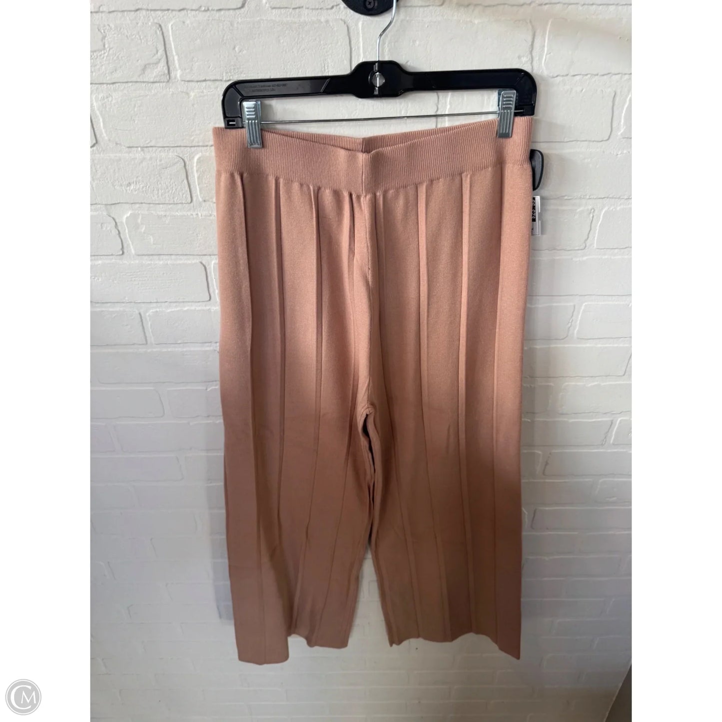 Pants Set 2pc By Anrabess In Tan, Size: Xl