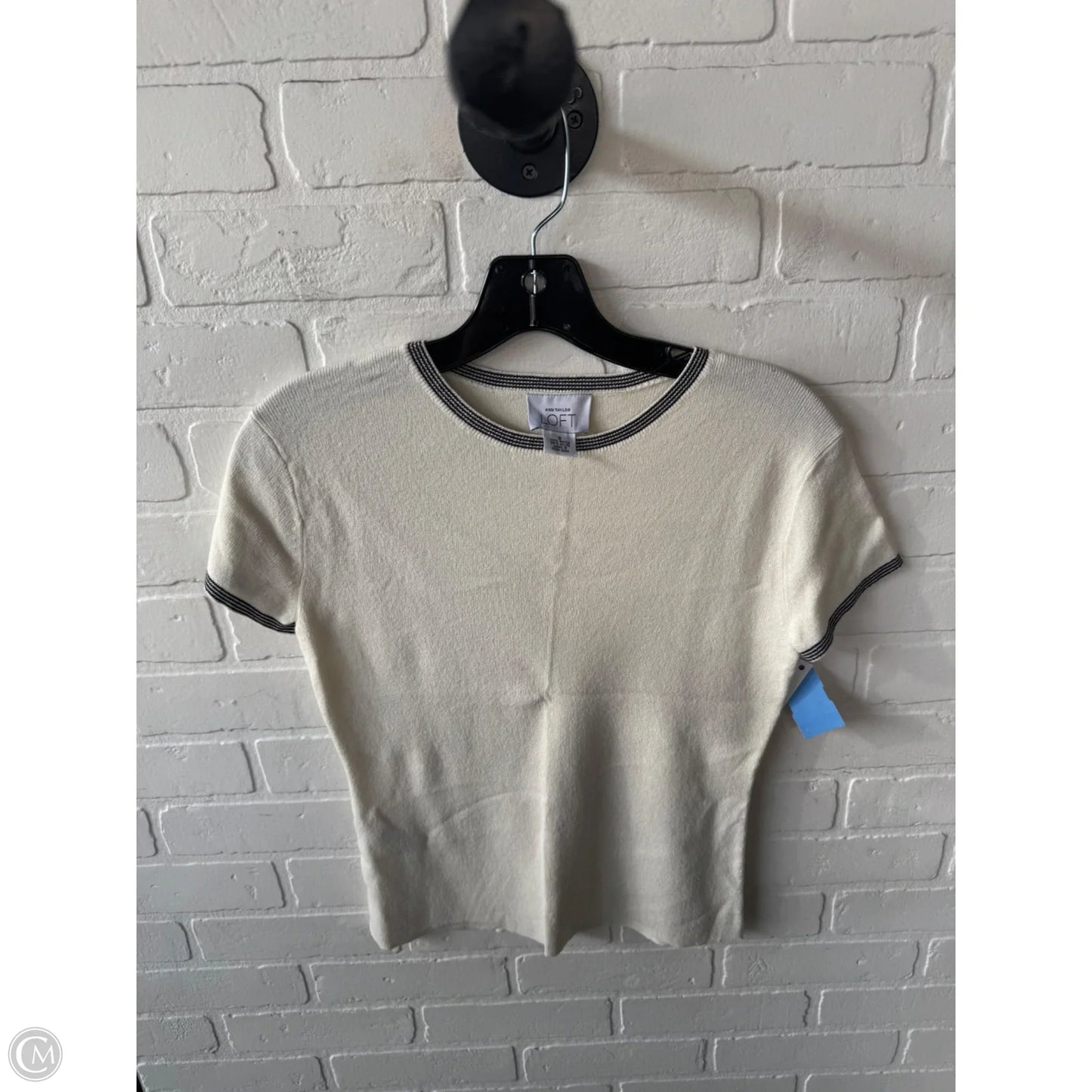 Sweater Short Sleeve By Ann Taylor In Cream & Grey, Size: S