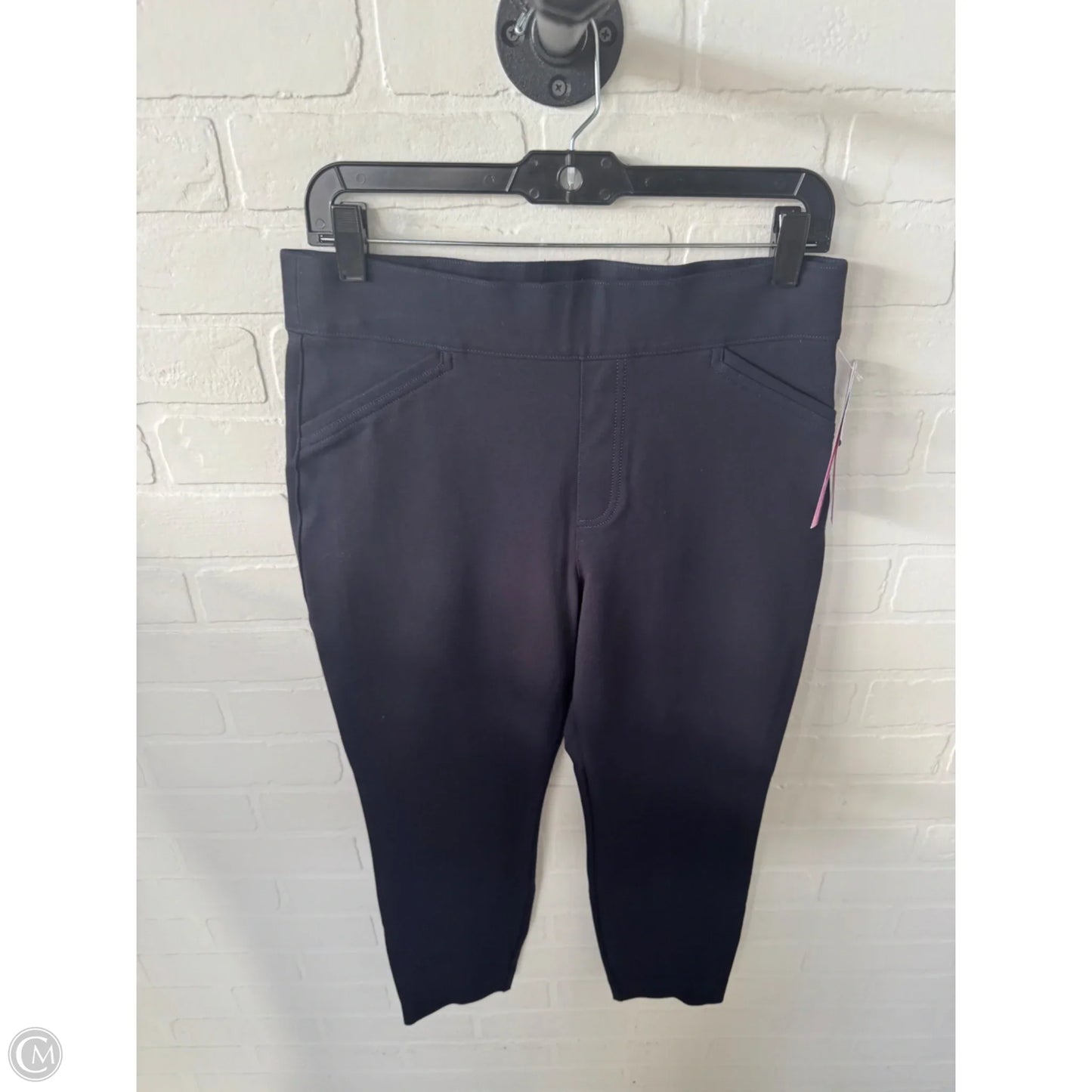 Pants Other By Spanx In Blue, Size: 12p