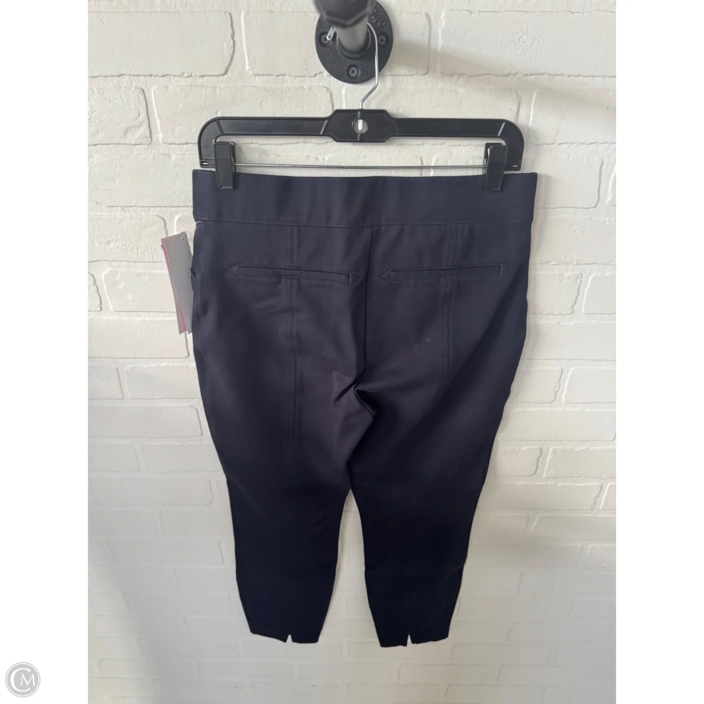 Pants Other By Spanx In Blue, Size: 12p