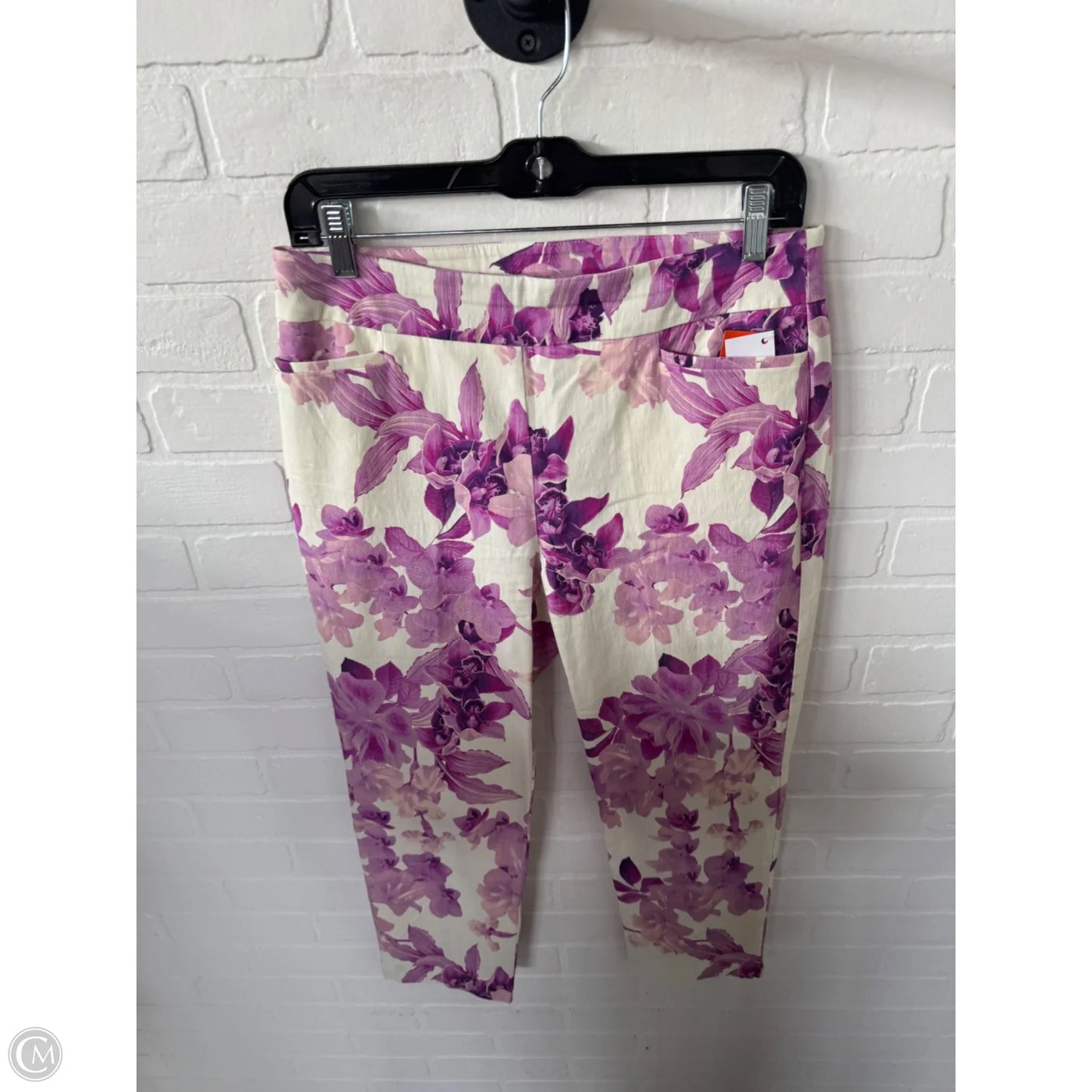 Pants Other By Chicos In Cream & Purple, Size: 4