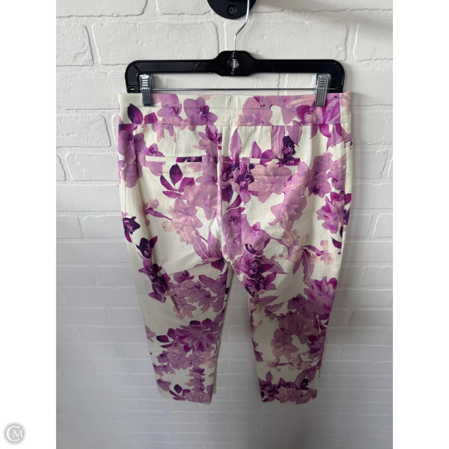 Pants Other By Chicos In Cream & Purple, Size: 4