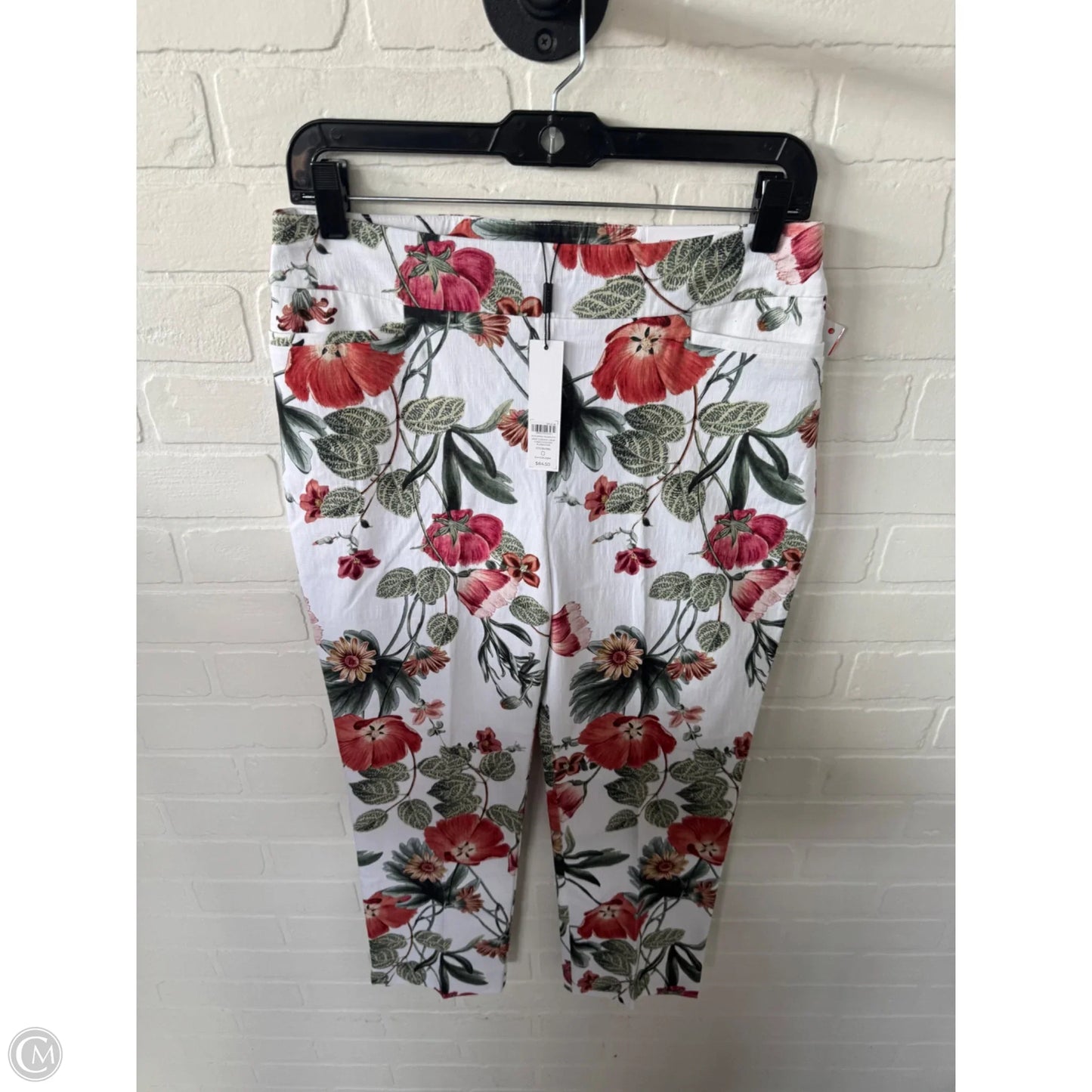 Pants Other By Chicos In Green & White, Size: 4