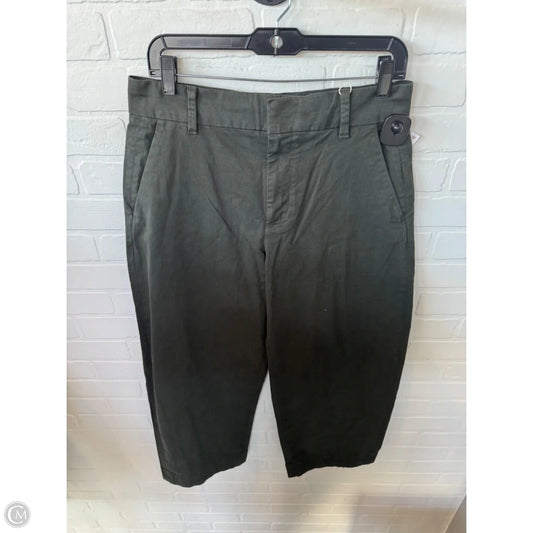 Pants Chinos & Khakis By Everlane In Green, Size: 8