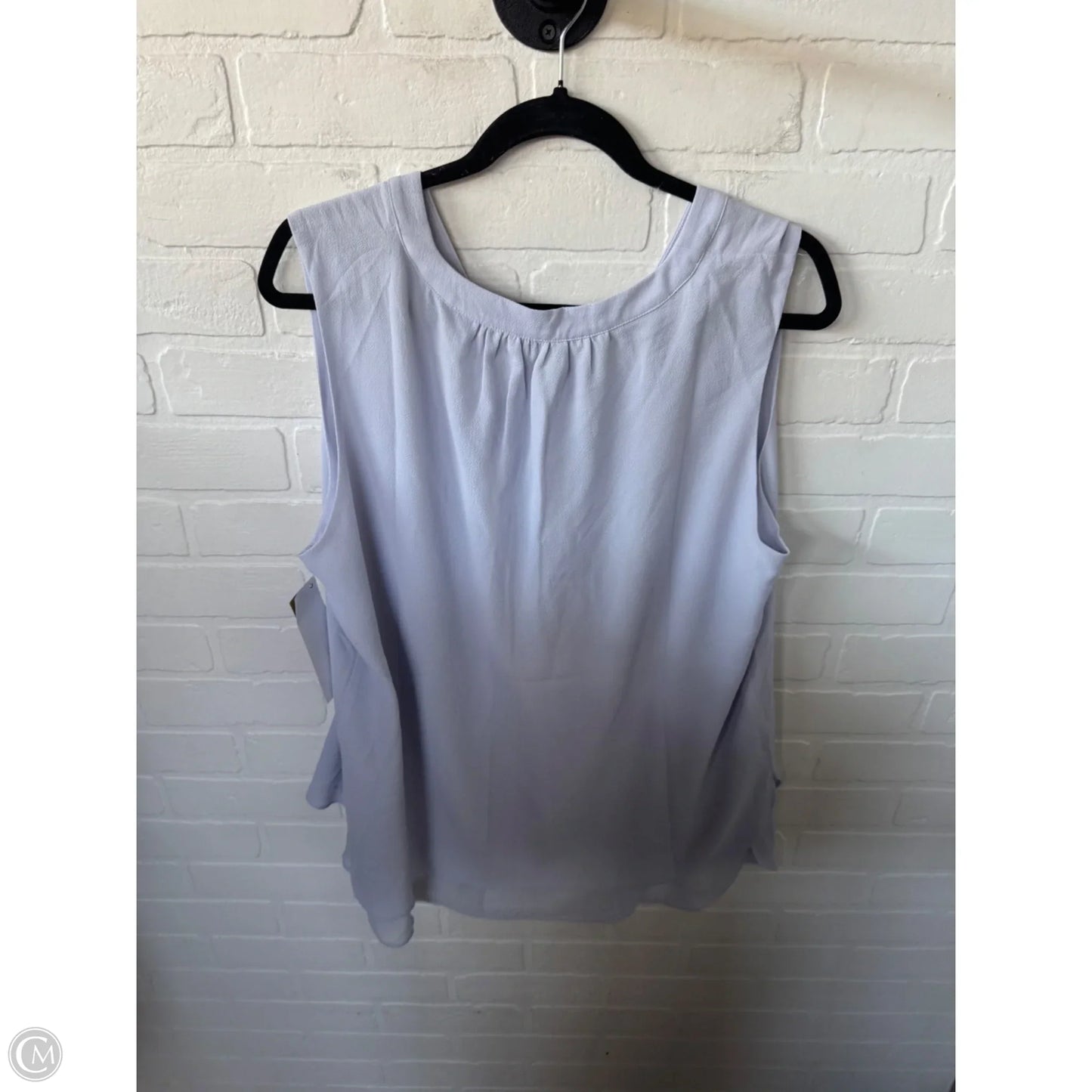 Top Sleeveless By Rose And Olive In Blue, Size: XL