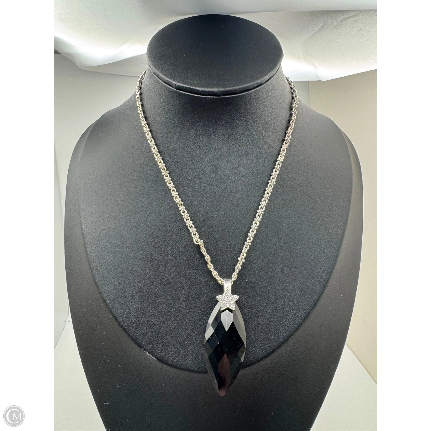 Necklace Pendant By Clothes Mentor