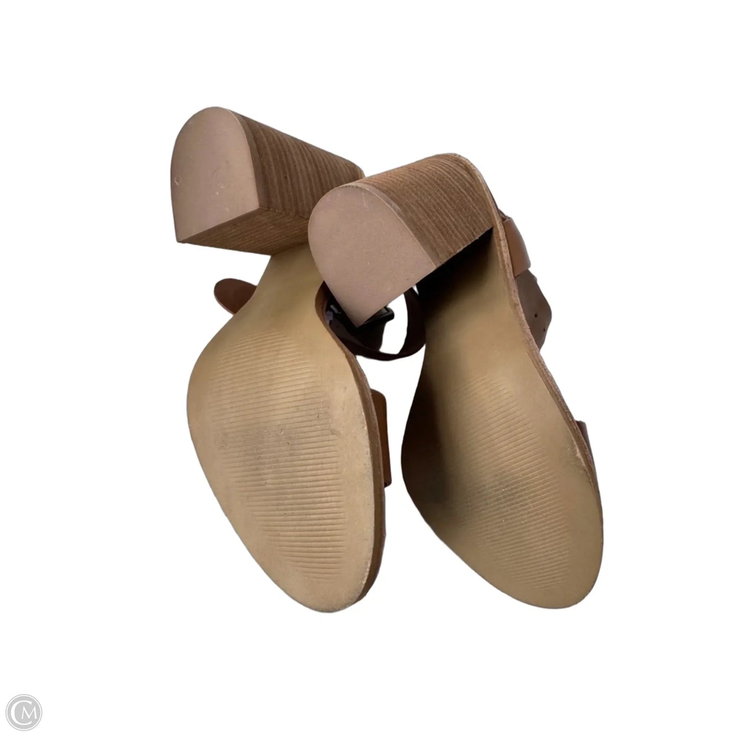 Shoes Heels Block By Steve Madden In Brown, Size: 7