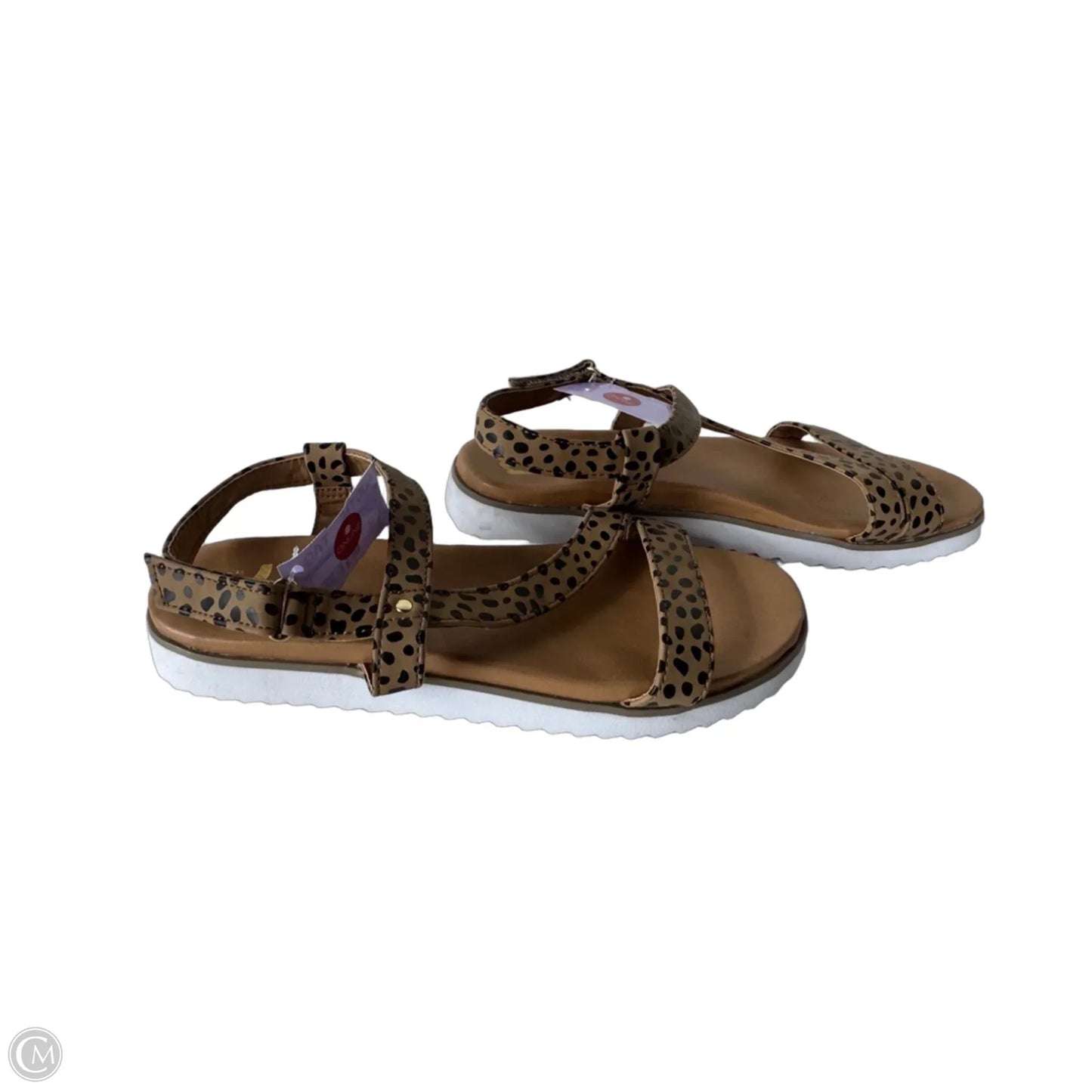 Sandals Flats By Report In Brown, Size: 10