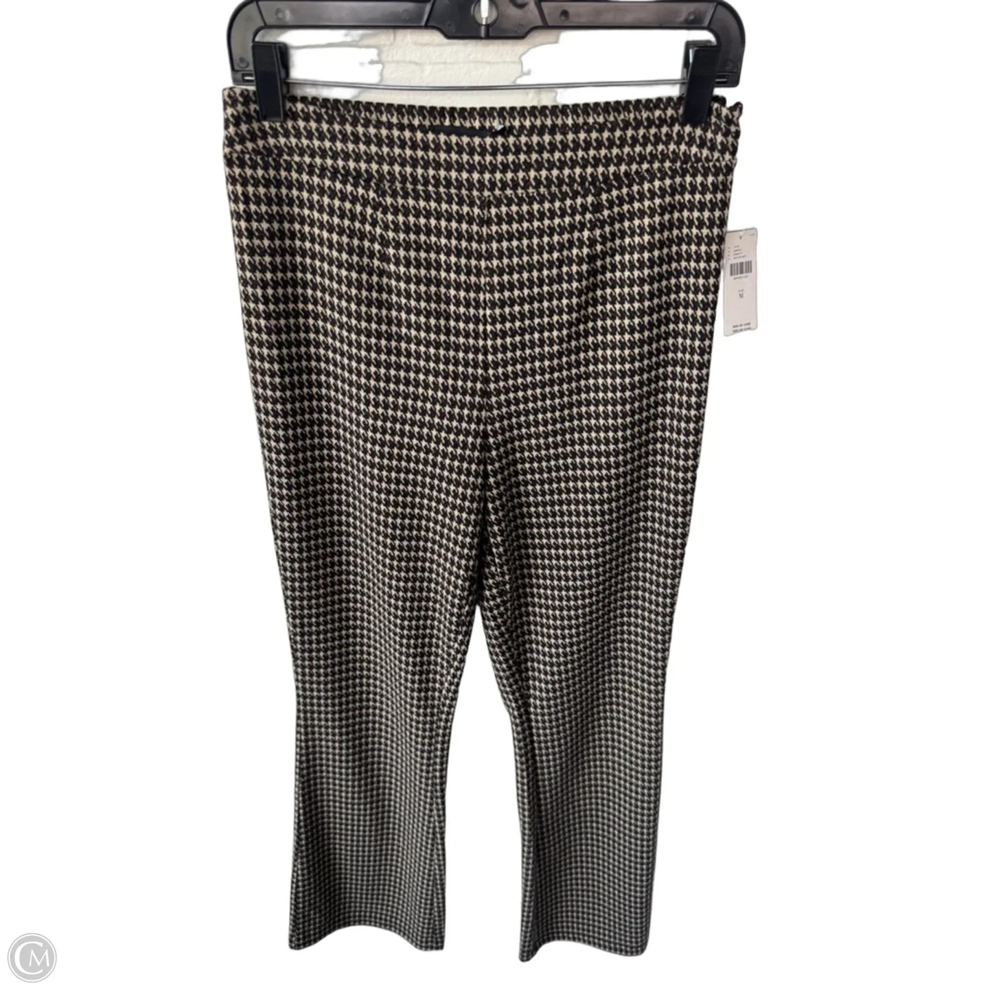 Pants Other By Sanctuary In Brown & Tan, Size: 8