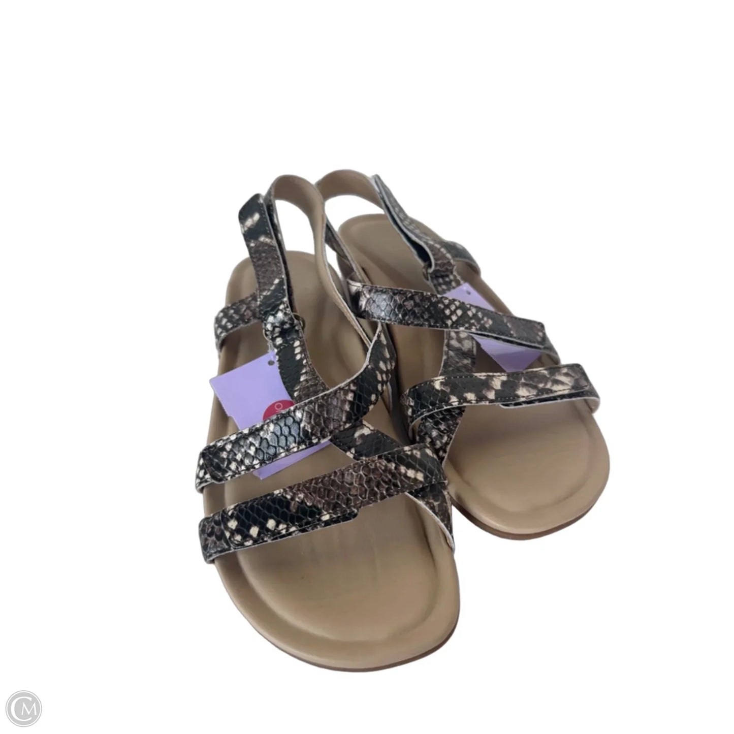 Sandals Flats By Abeo In Snakeskin Print, Size: 6.5