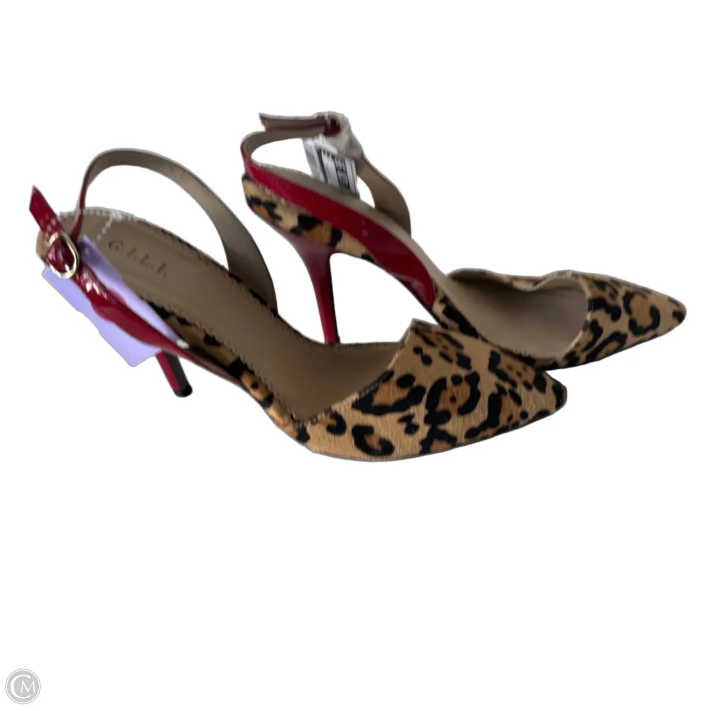 Shoes Heels Stiletto By Gilli In Animal Print, Size: 9.5